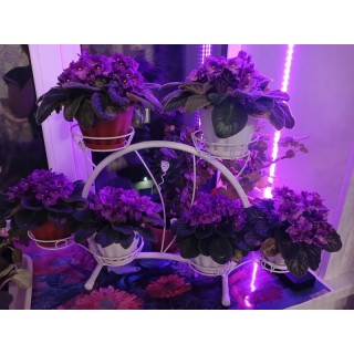 Цветочница Кружок